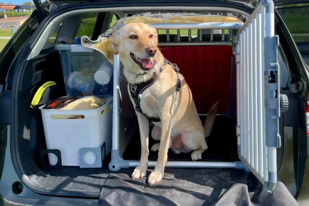 Hundebox mit Hund im Škoda ENYAQ Kofferraum